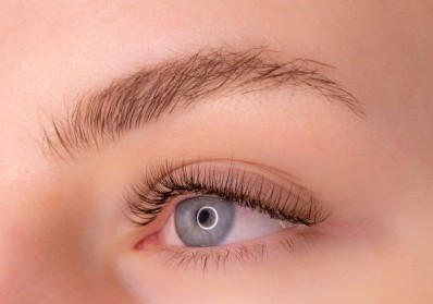 Lash Lifts vs. Lash Extensions: Which is Right for You? blog image