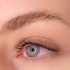 Lash Lifts vs. Lash Extensions: Which is Right for You? small image