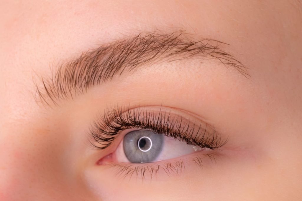 Lash Lifts vs. Lash Extensions: Which is Right for You? hero image